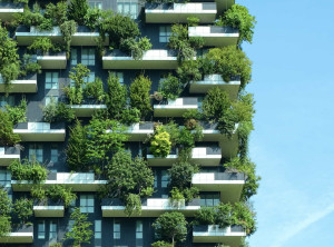 Vers un habitat vert : tendances et stratégies éco-responsables
